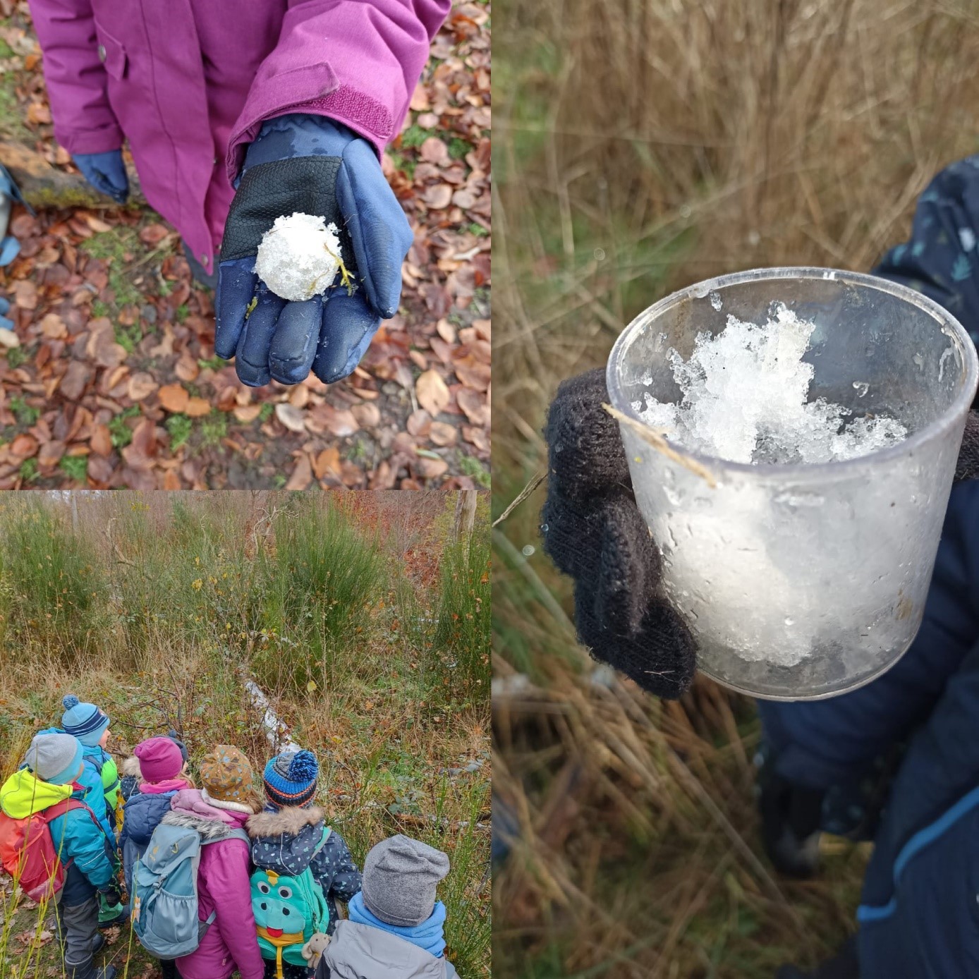 Die ersten Winterspuren
