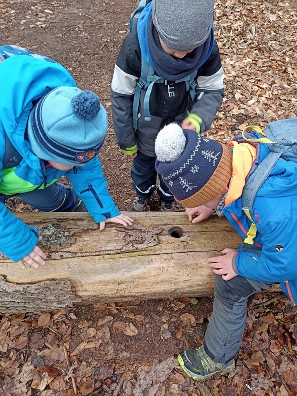 Heegbachwichtel - Wer hat denn da geklopft?