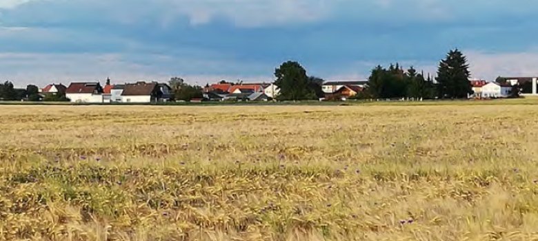 Blick auf die Ortsrandlage