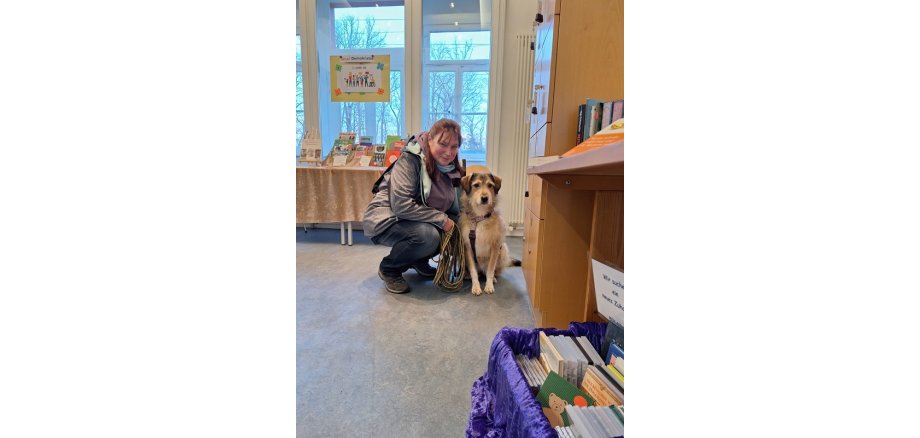 Büchereihunde